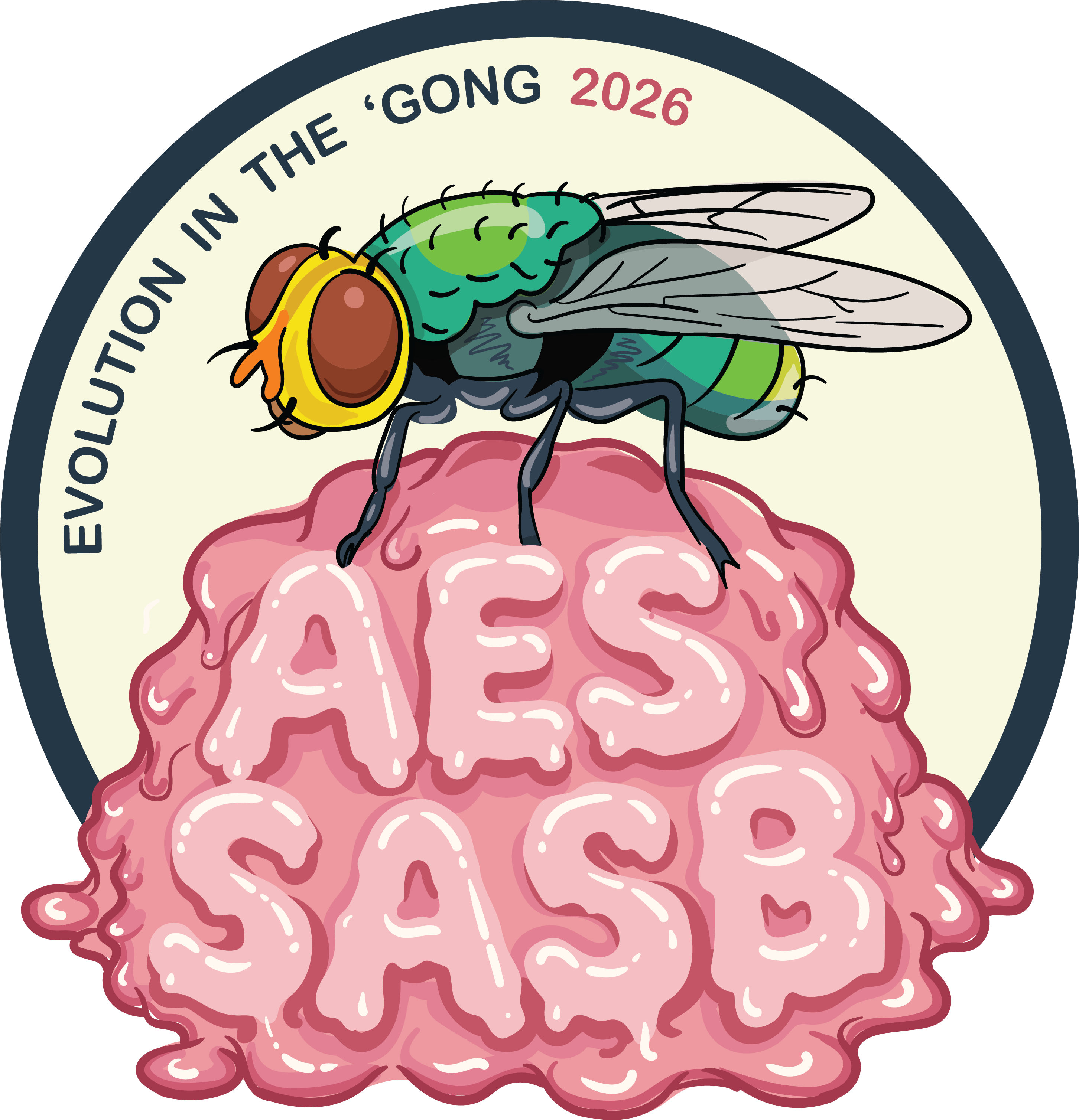 AES × SASB 2026 fly design
