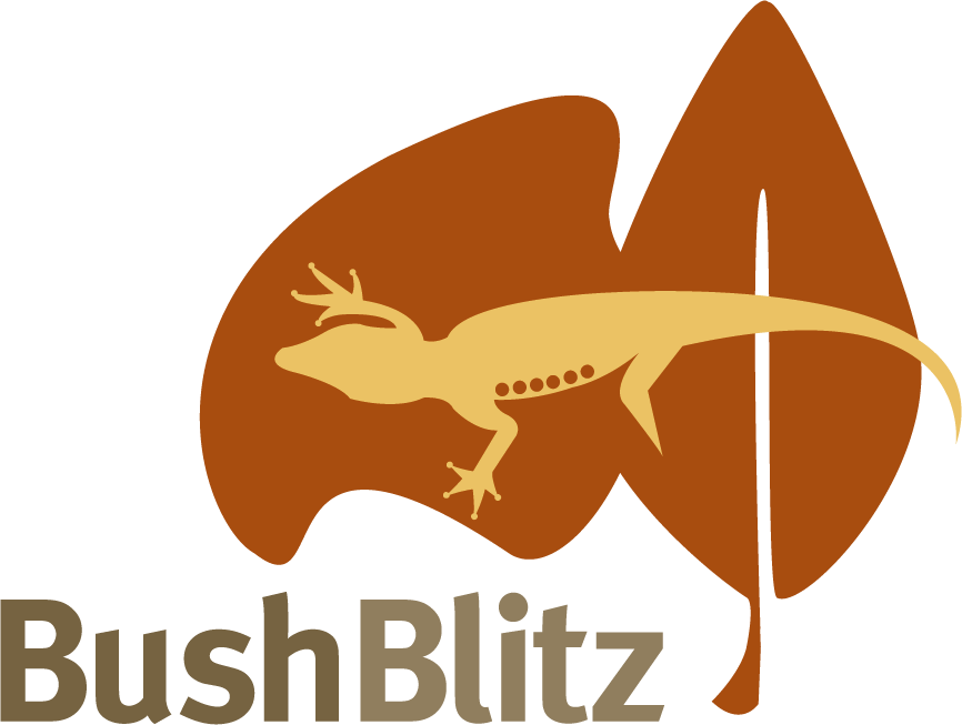 BushBlitz